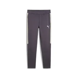 PUMA Herren EVOSTRIPE Hose